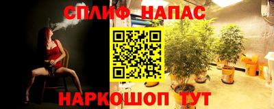эйфоретик Партизанск