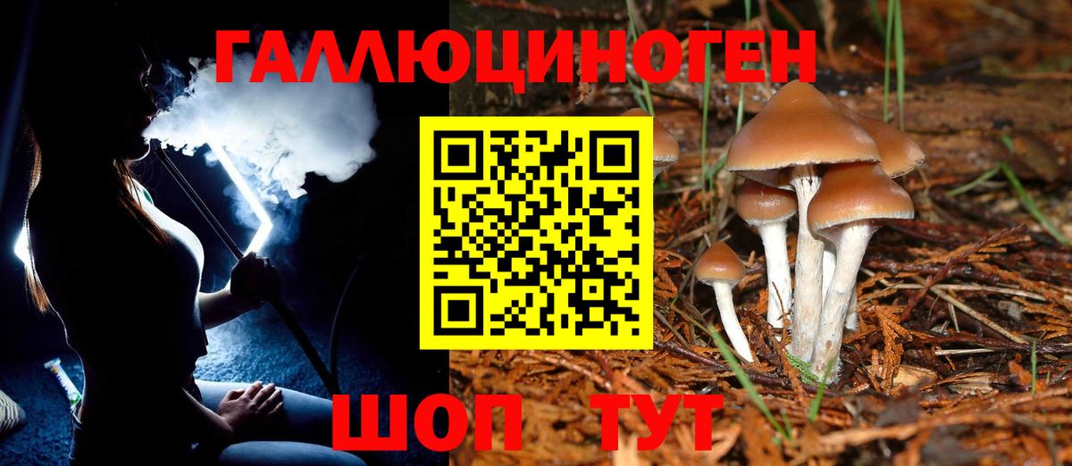 Псилоцибиновые грибы Magic Shrooms Россия
