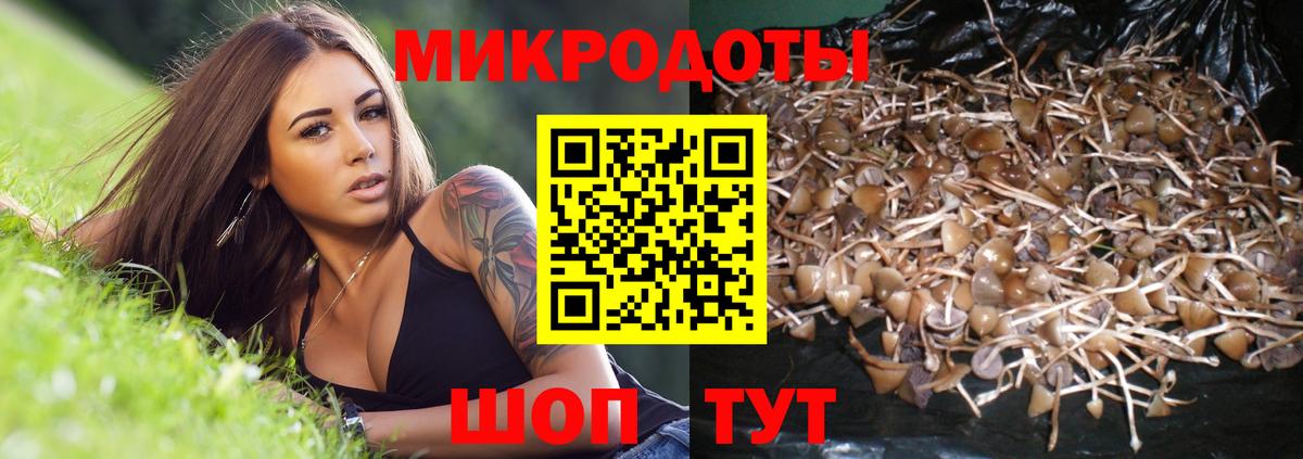 Псилоцибиновые грибы Psilocybe  где купить наркоту  Россия  Вход с VPN 